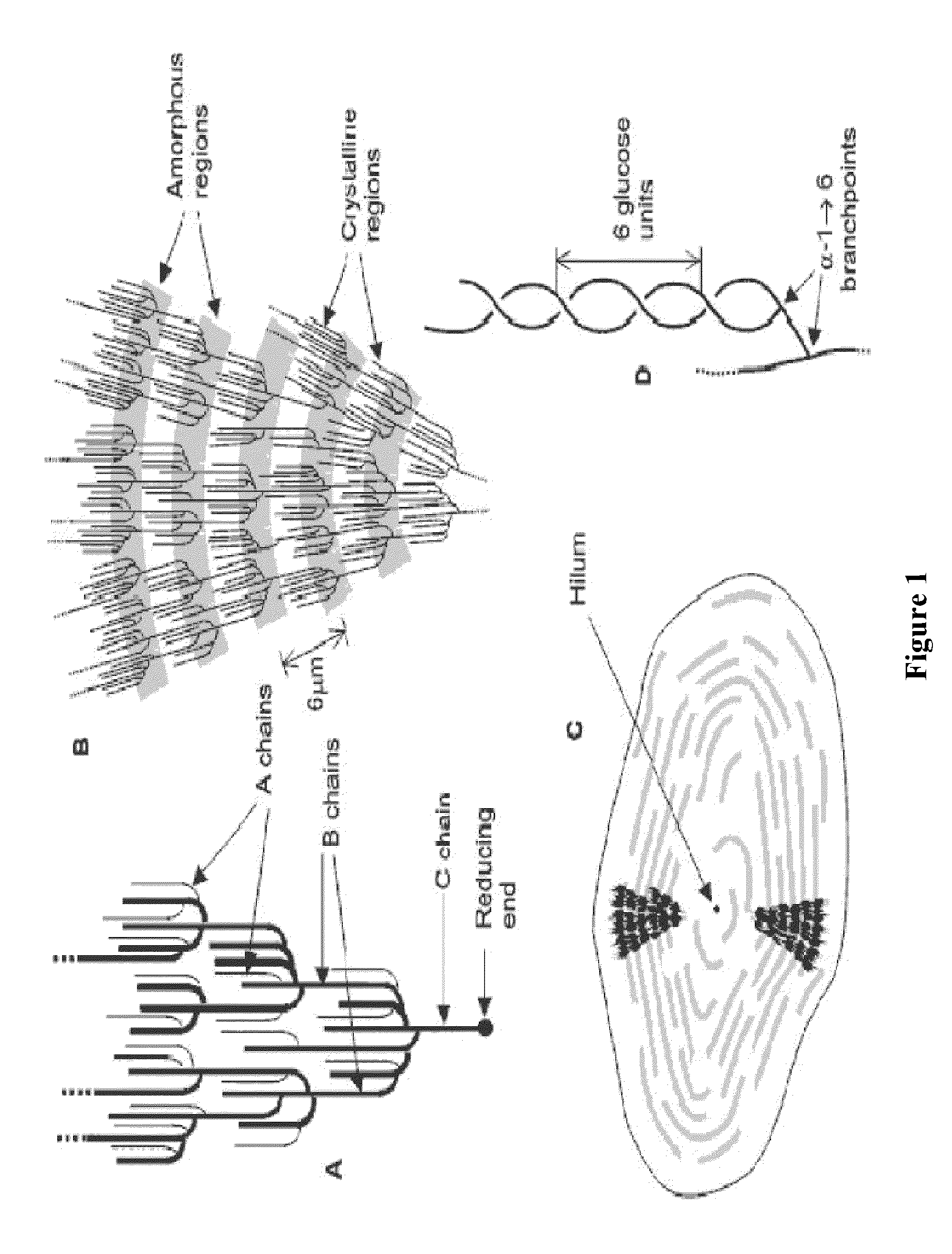 Potato products with enhanced resistant starch content and moderated glycemic response and methods thereof