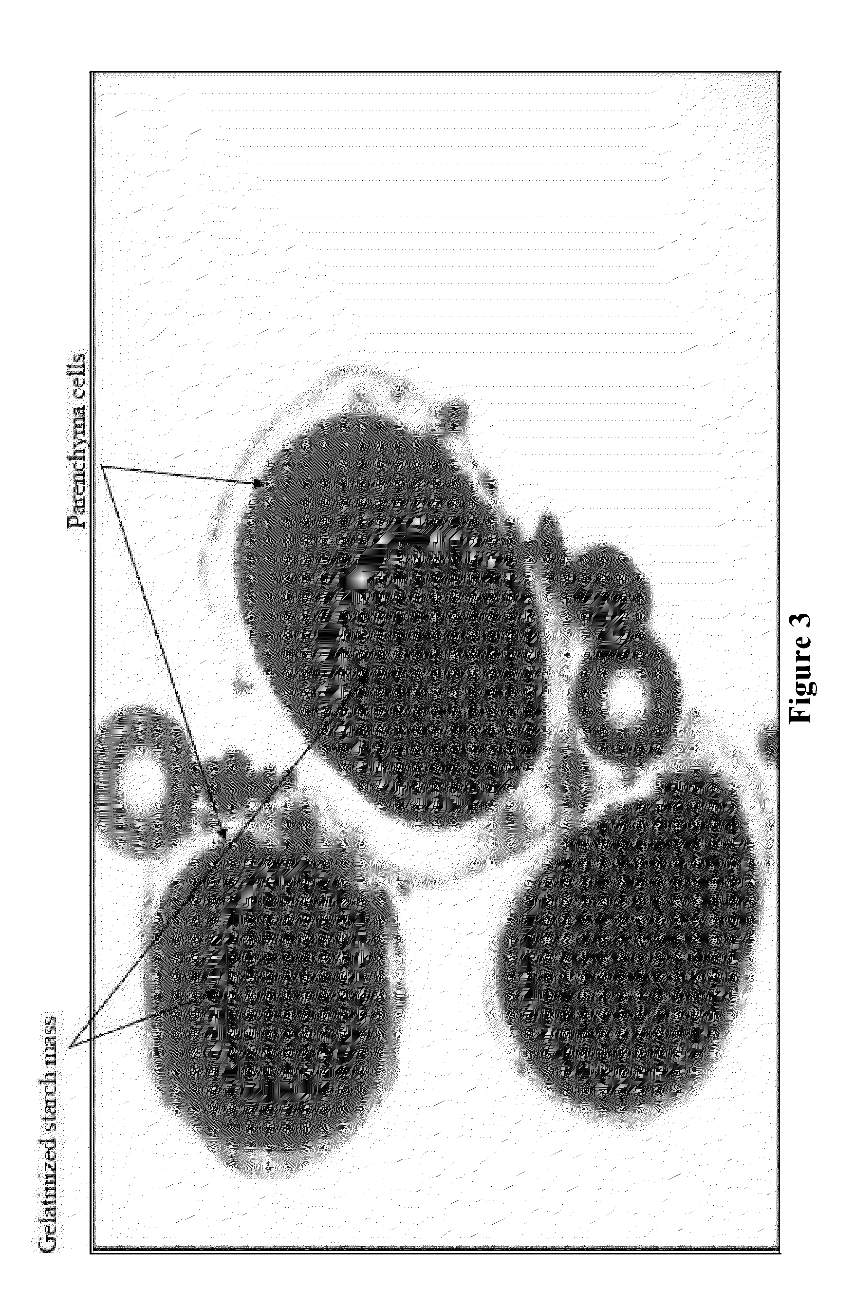 Potato products with enhanced resistant starch content and moderated glycemic response and methods thereof