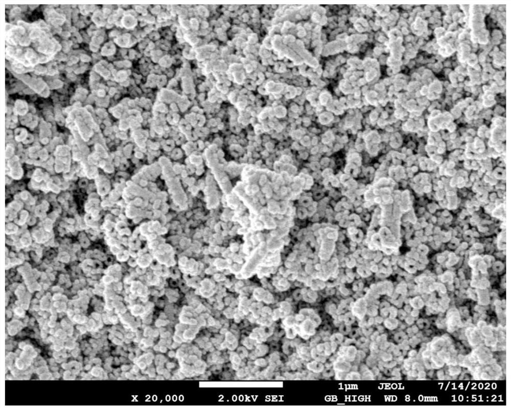 Method for preparing graphite phase carbon nitride doped titanium dioxide nanotube array photoelectrode by one-step method