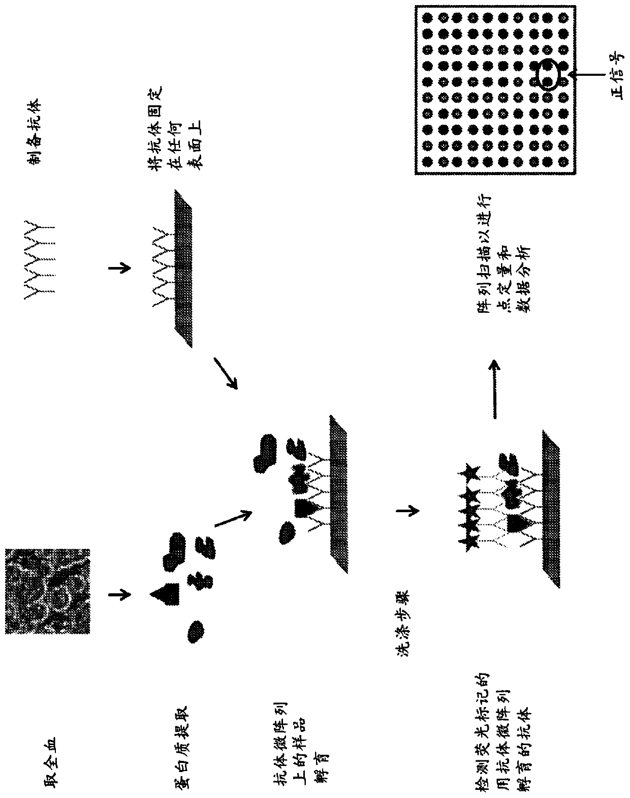 Blood unit tests kit