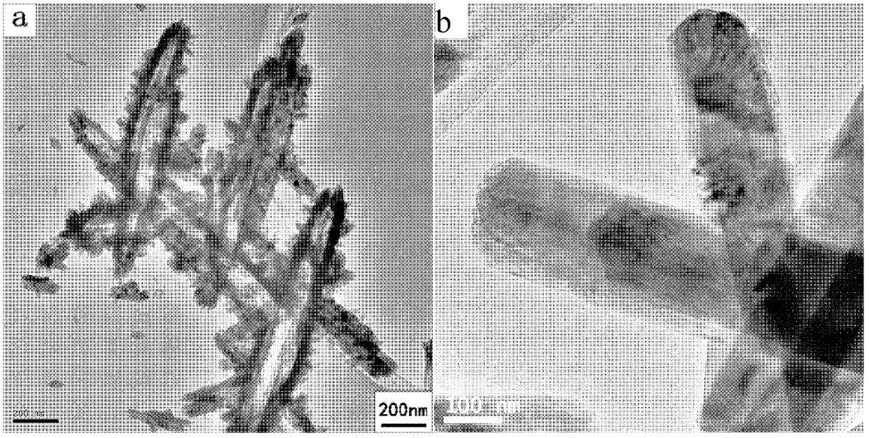 Preparation method of iron-doped TiO2 nanotube
