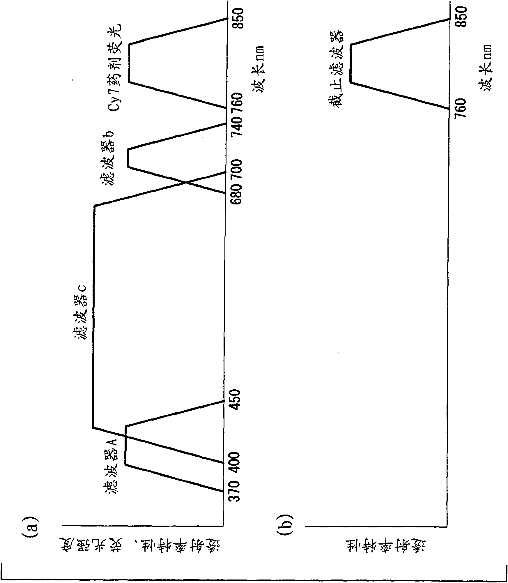 Fluorescence observing device and fluorescence observing method