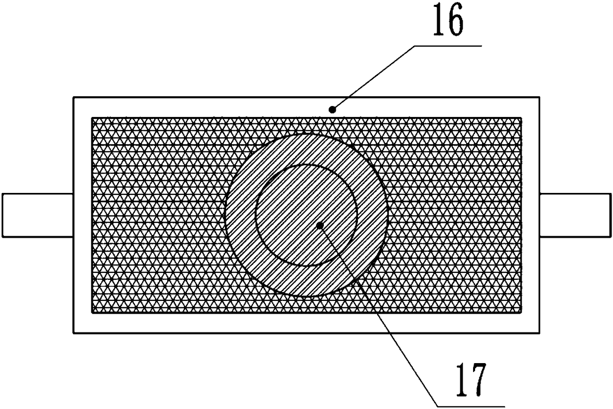 Raw material filter device for preparation of new bioenergy