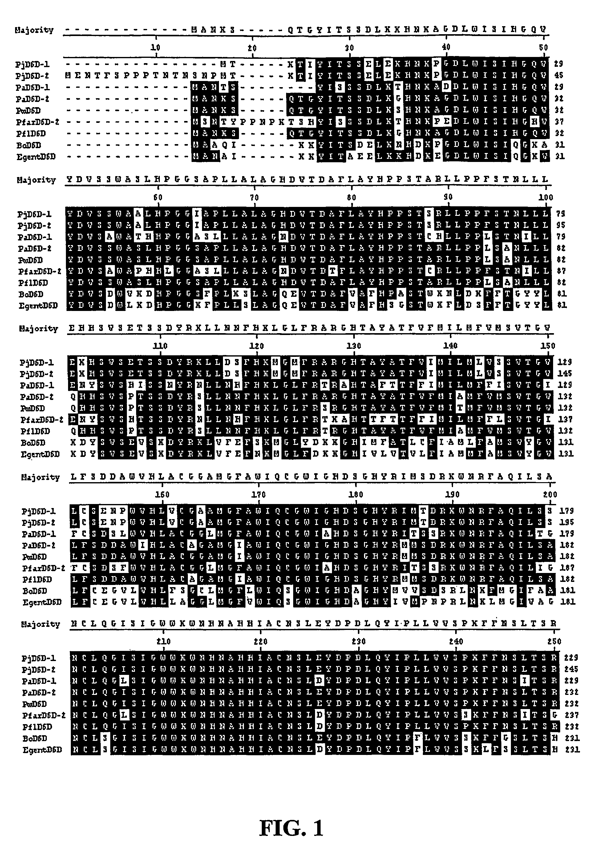 Fatty acid desaturases from primula