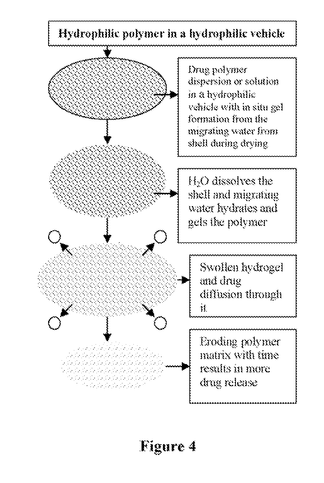 Hydrophilic Vehicle-Based Dual Controlled Release Matrix System