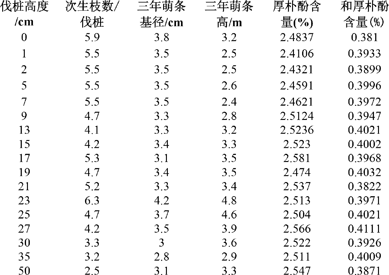 Magnolia officinalis cultivation method