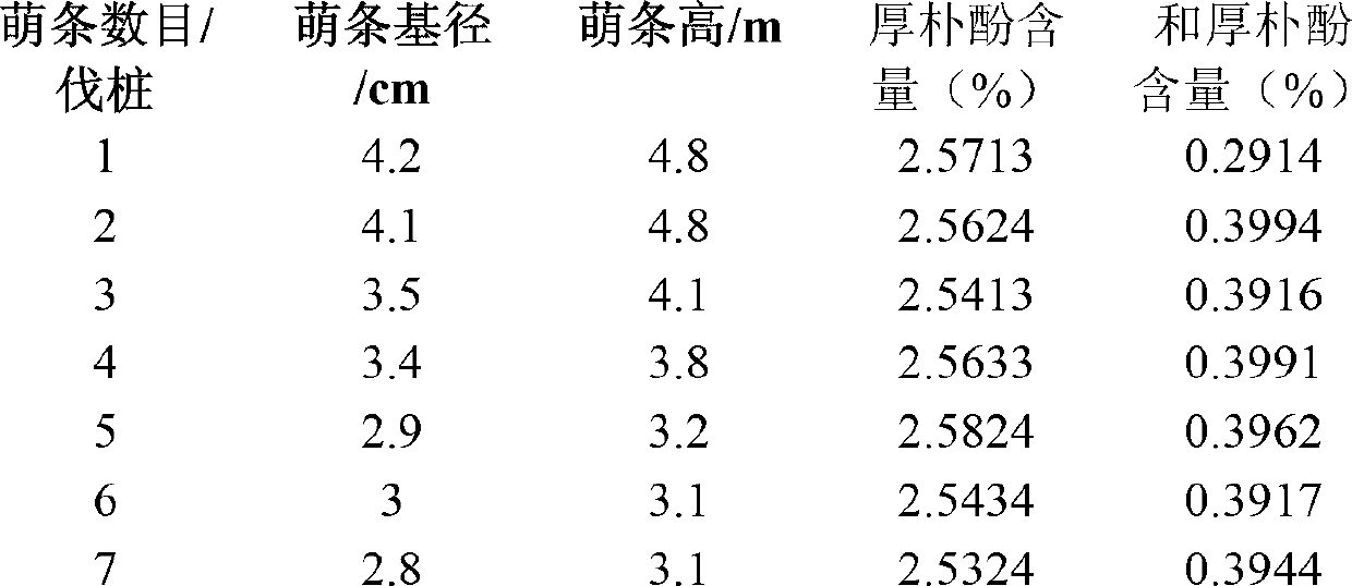 Magnolia officinalis cultivation method