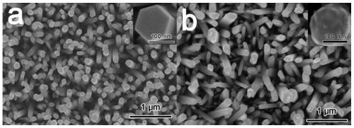 apical modification cu  <sub>2</sub> ZnO nanorod heterojunction of o and its preparation method and application