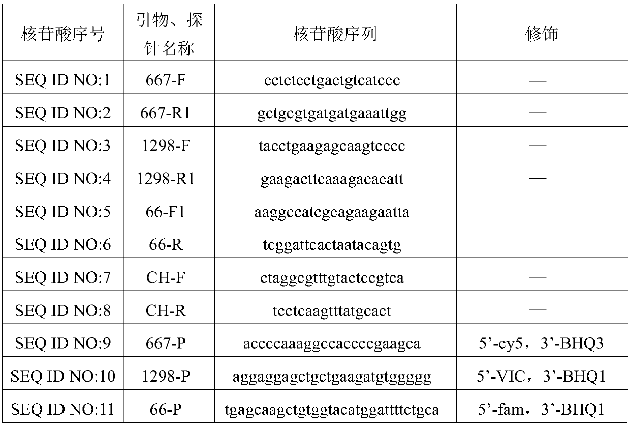 Kit for detecting folic acid related gene polymorphism and using method thereof