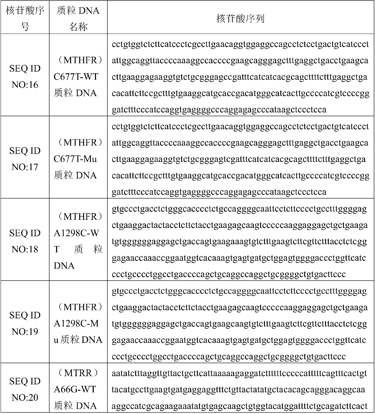 Kit for detecting folic acid related gene polymorphism and using method thereof