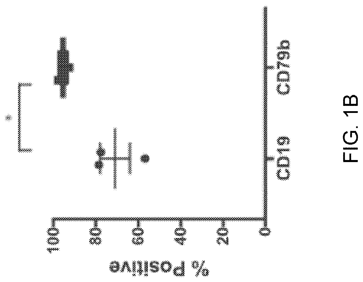 Chimeric antigen receptors targeting cd79b and cd19