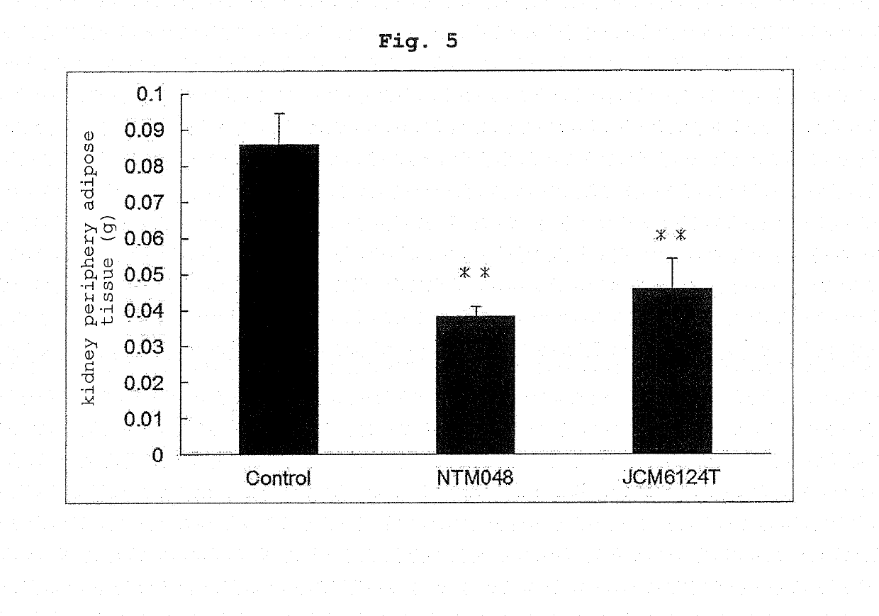 Composition for preventing or treating metabolism disorders comprising leuconostoc mesenteroides-producing exopolysaccharide as active ingredient
