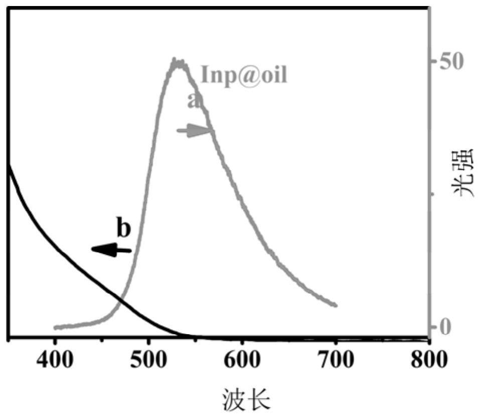 Preparation method of co-reactant-free electrochemical luminescence immunosensor