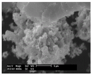 Preparation method of manganese-cobalt oxide powder