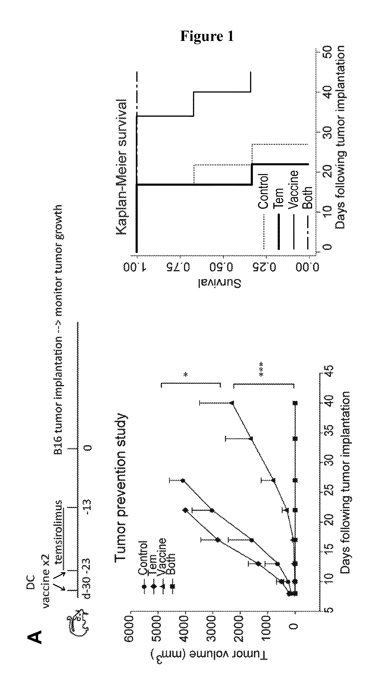 Methods and compositions for treating cancer and infectious diseases