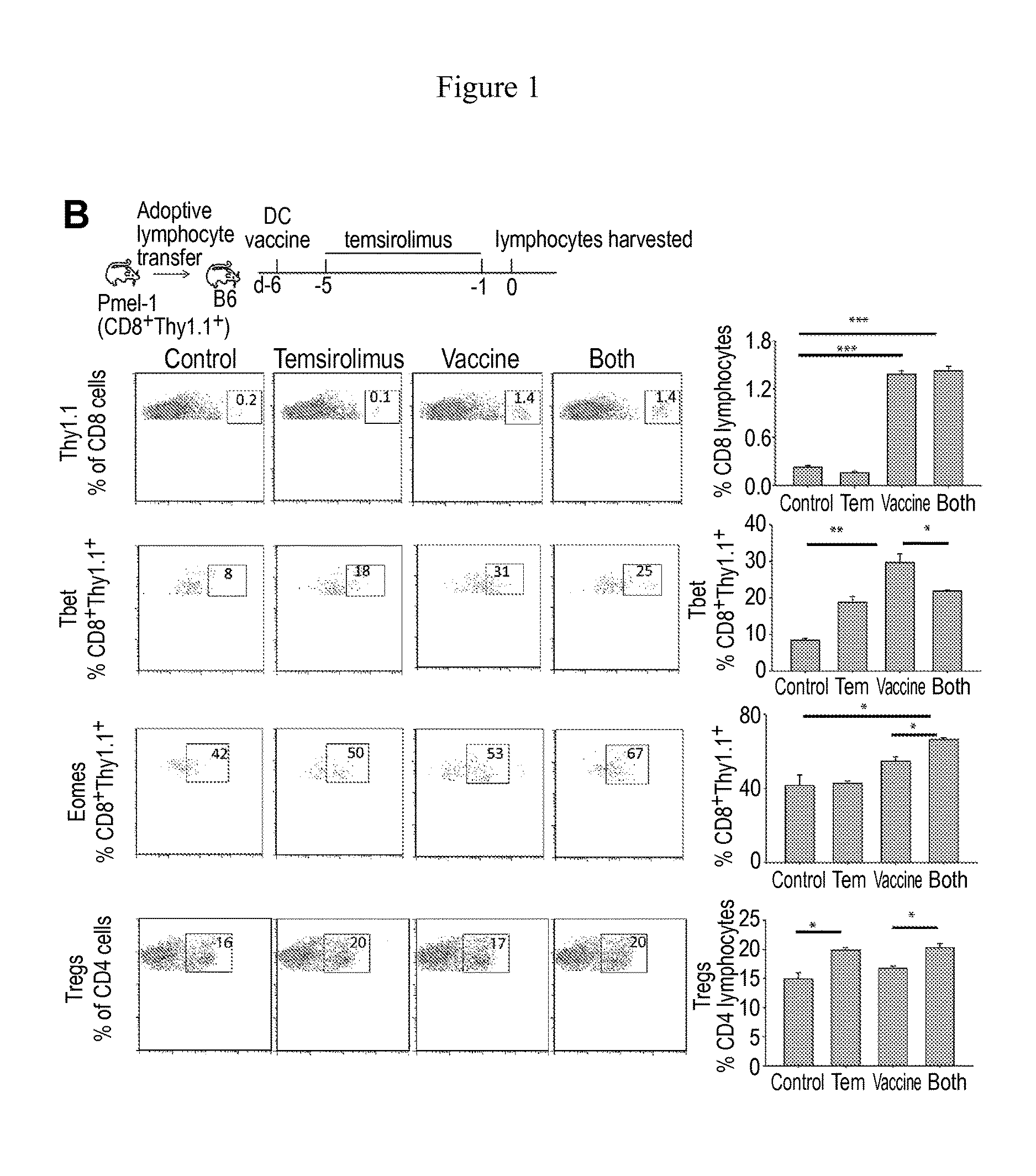 Methods and compositions for treating cancer and infectious diseases