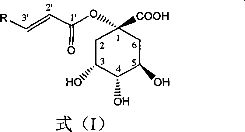 1-oxygen-[3-aryl substituted-alkene propionyl]quinic acid compounds and uses