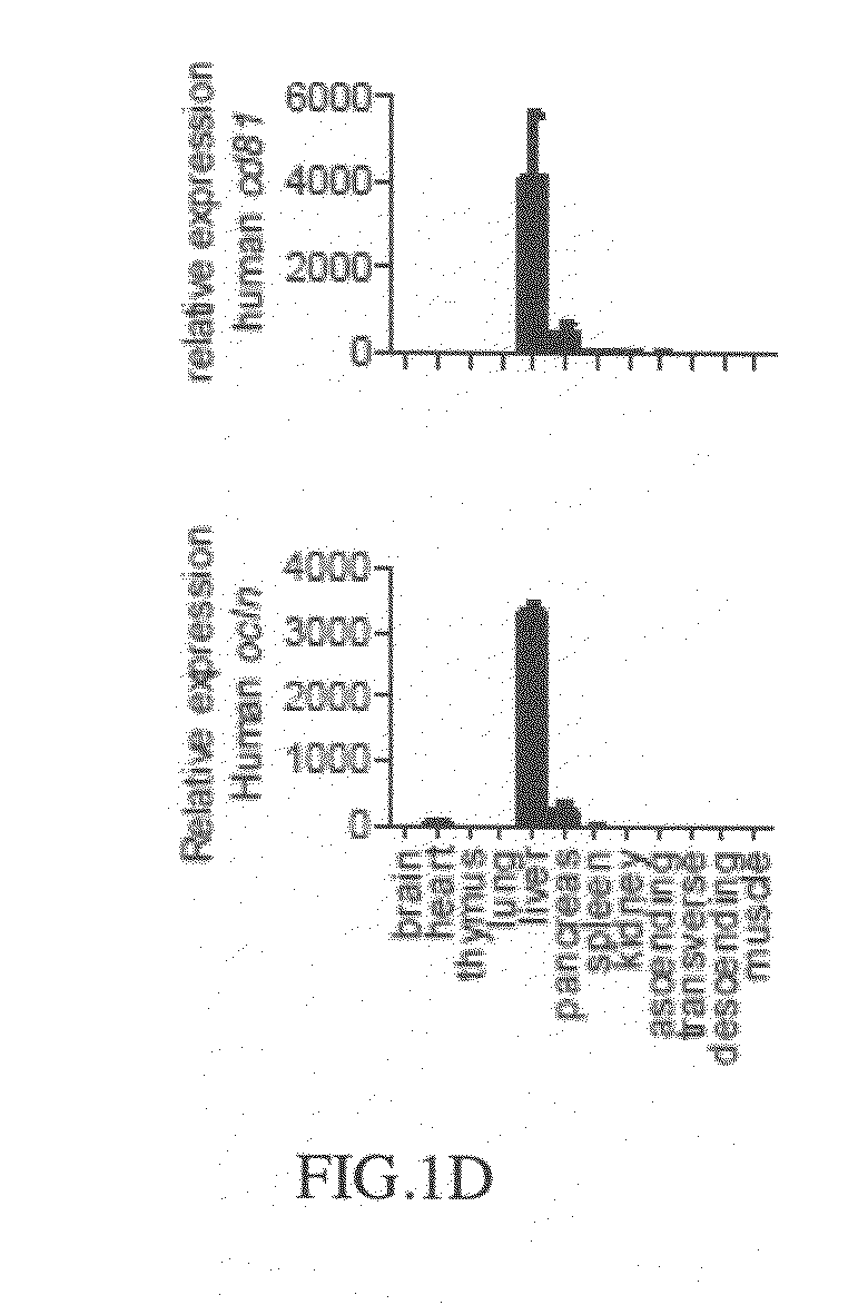 Cd81 and ocln double transgenic mouse and its construction methods