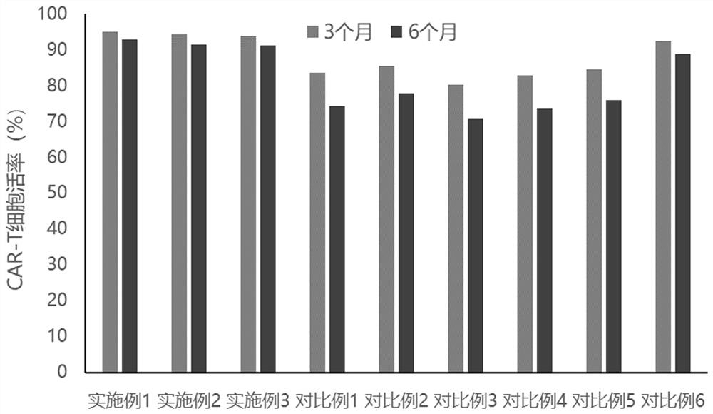 Protective agent for CAR-T cell cryopreservation and cryopreservation method