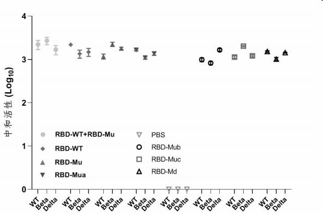 Novel coronavirus antibody with broad-spectrum neutralizing activity as well as preparation method and application of novel coronavirus antibody