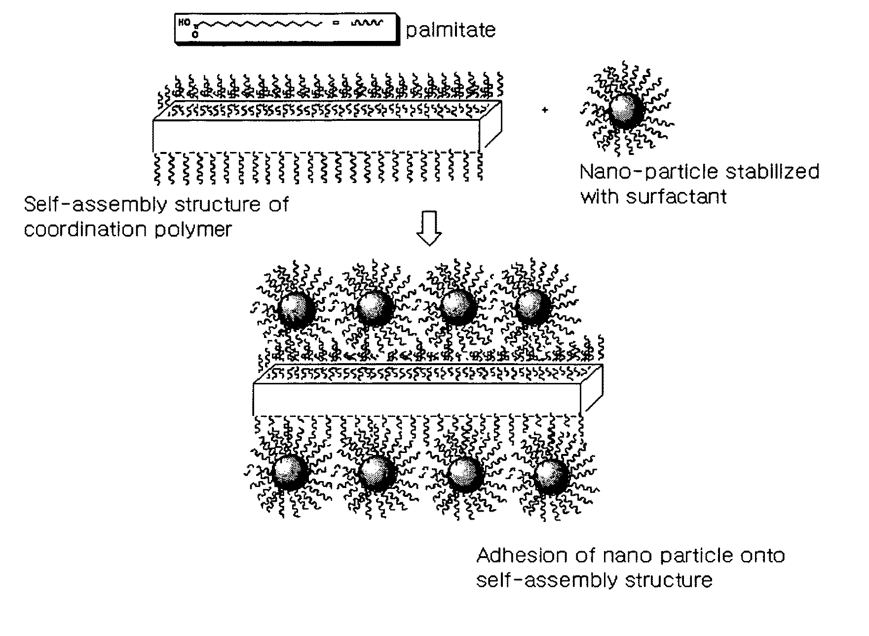 Organic-inorganic hybrid structures having nanoparticles adhering thereon and method for preparing the same