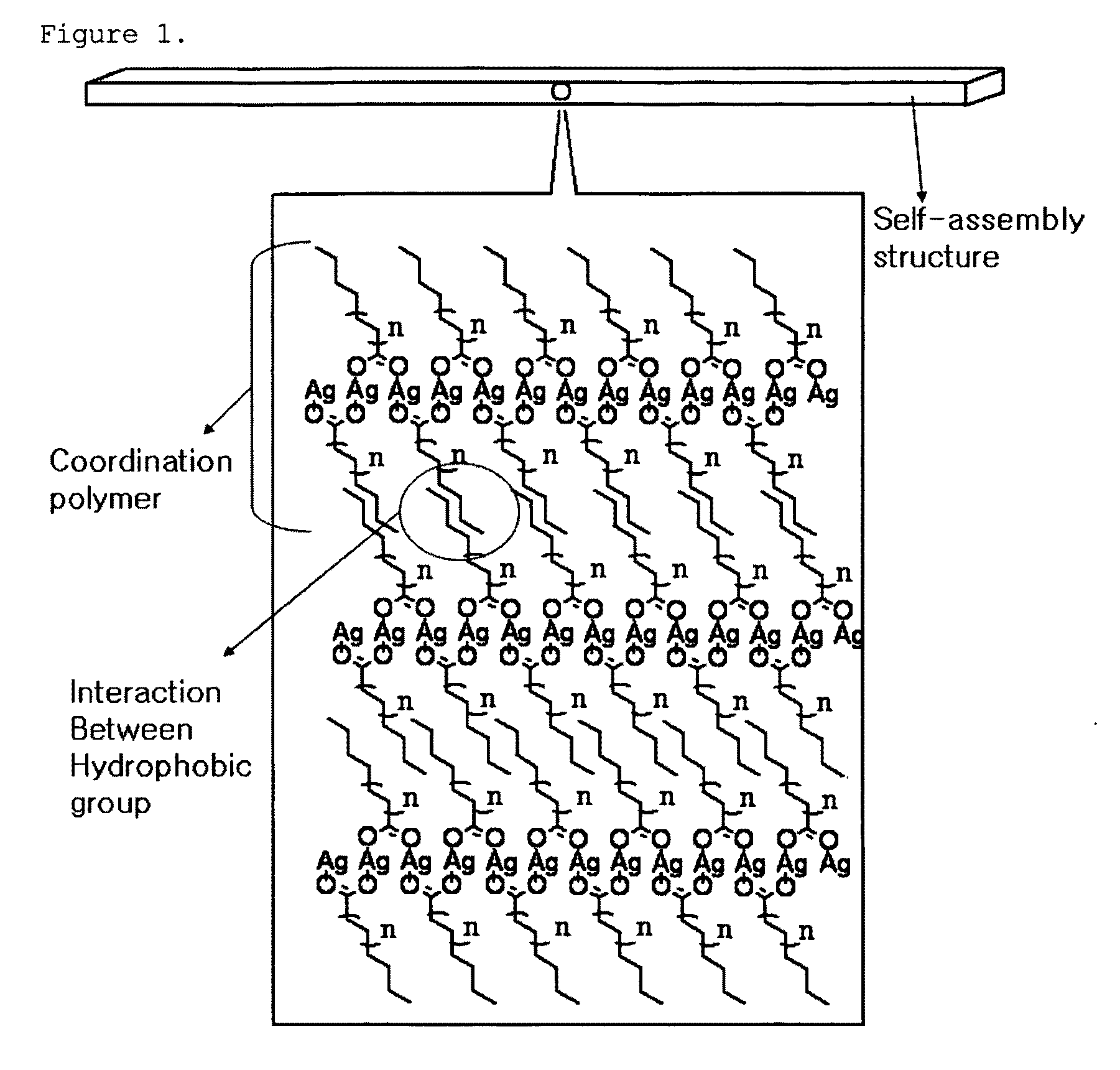 Organic-inorganic hybrid structures having nanoparticles adhering thereon and method for preparing the same