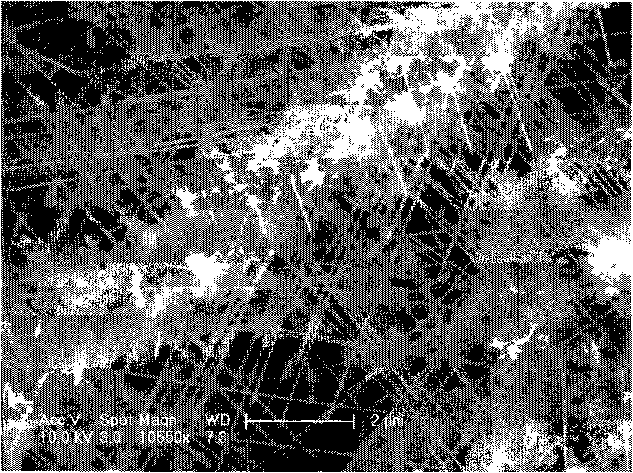 Method for preparing iron silicide nano wires