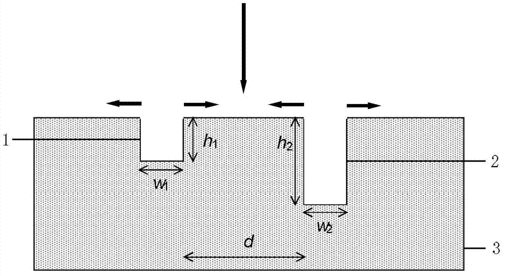 A broadband surface plasmon unidirectional exciter