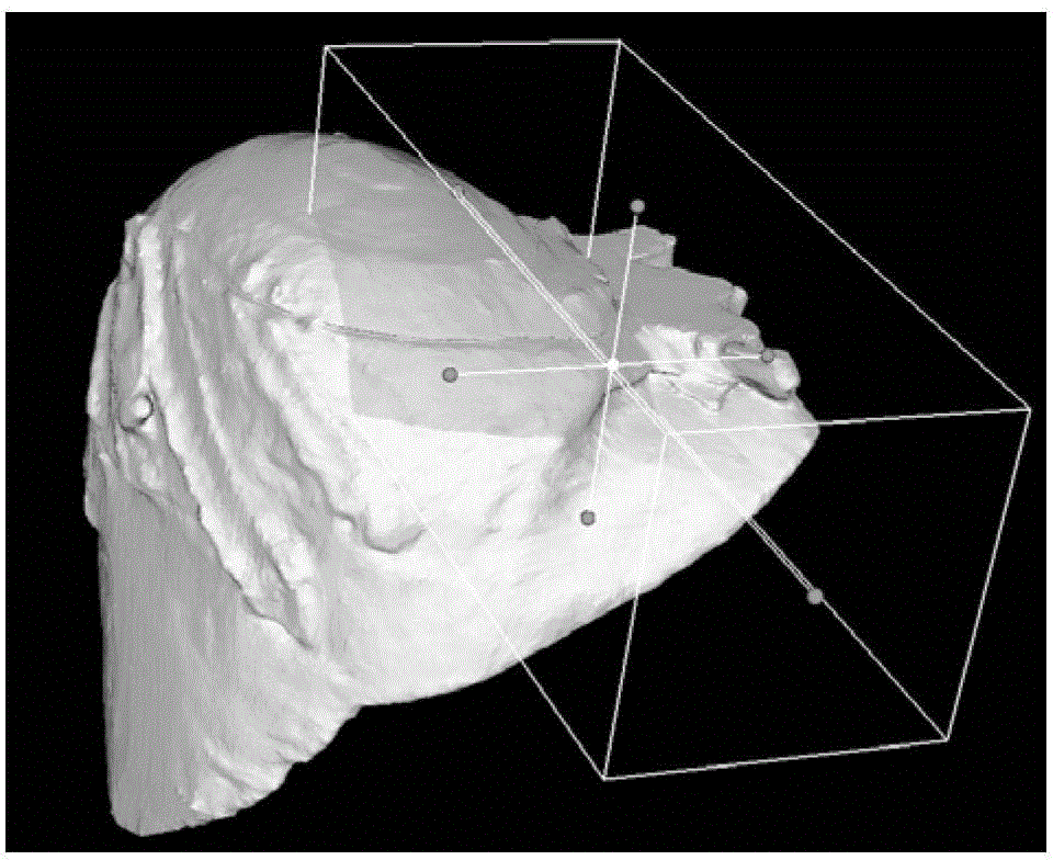 Boolean operation method and system of triangular mesh data