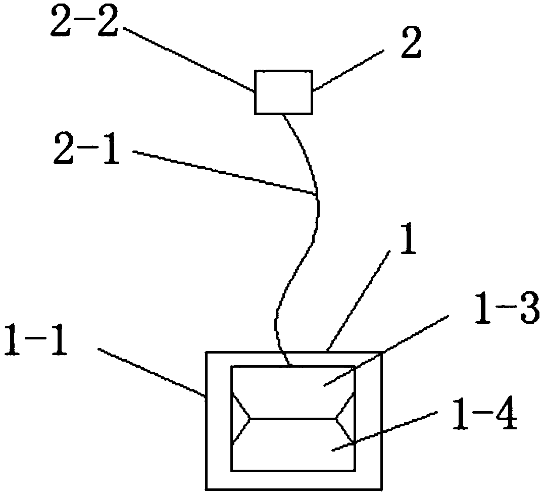 Tree identification plate, method for fixing tree identification plate to tree, fixing tool and drilling tool