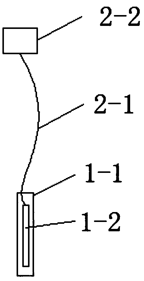 Tree identification plate, method for fixing tree identification plate to tree, fixing tool and drilling tool