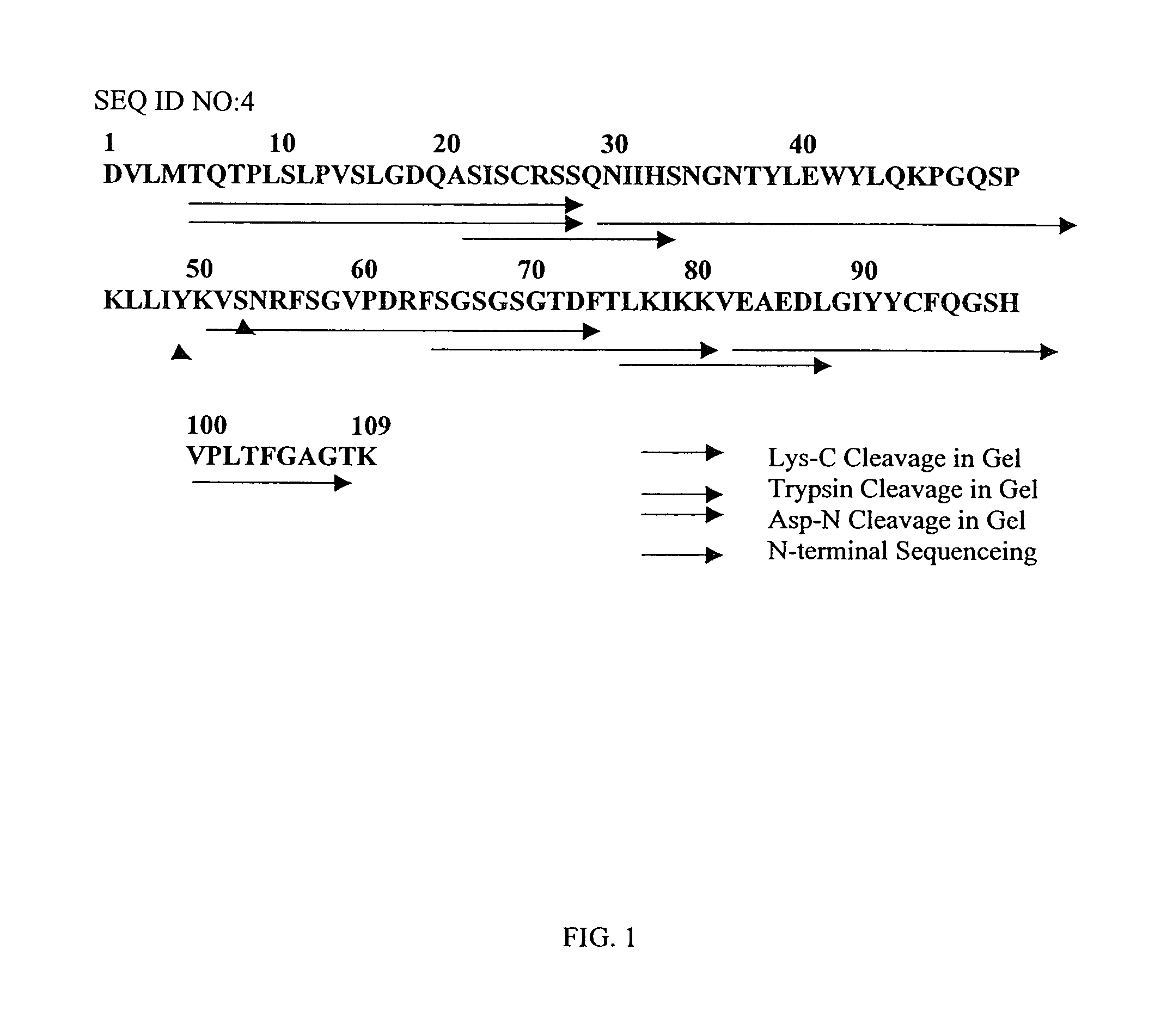 Methods and compositions for diseases associated with amyloidosis
