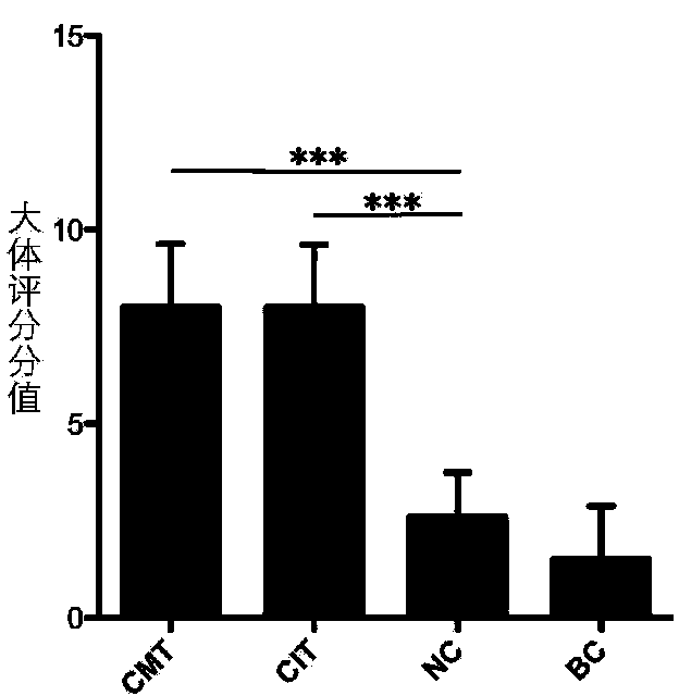 Application of caerulin in preparing sensitizing preparation of medicaments for intervening in pancreatic cancer animal model