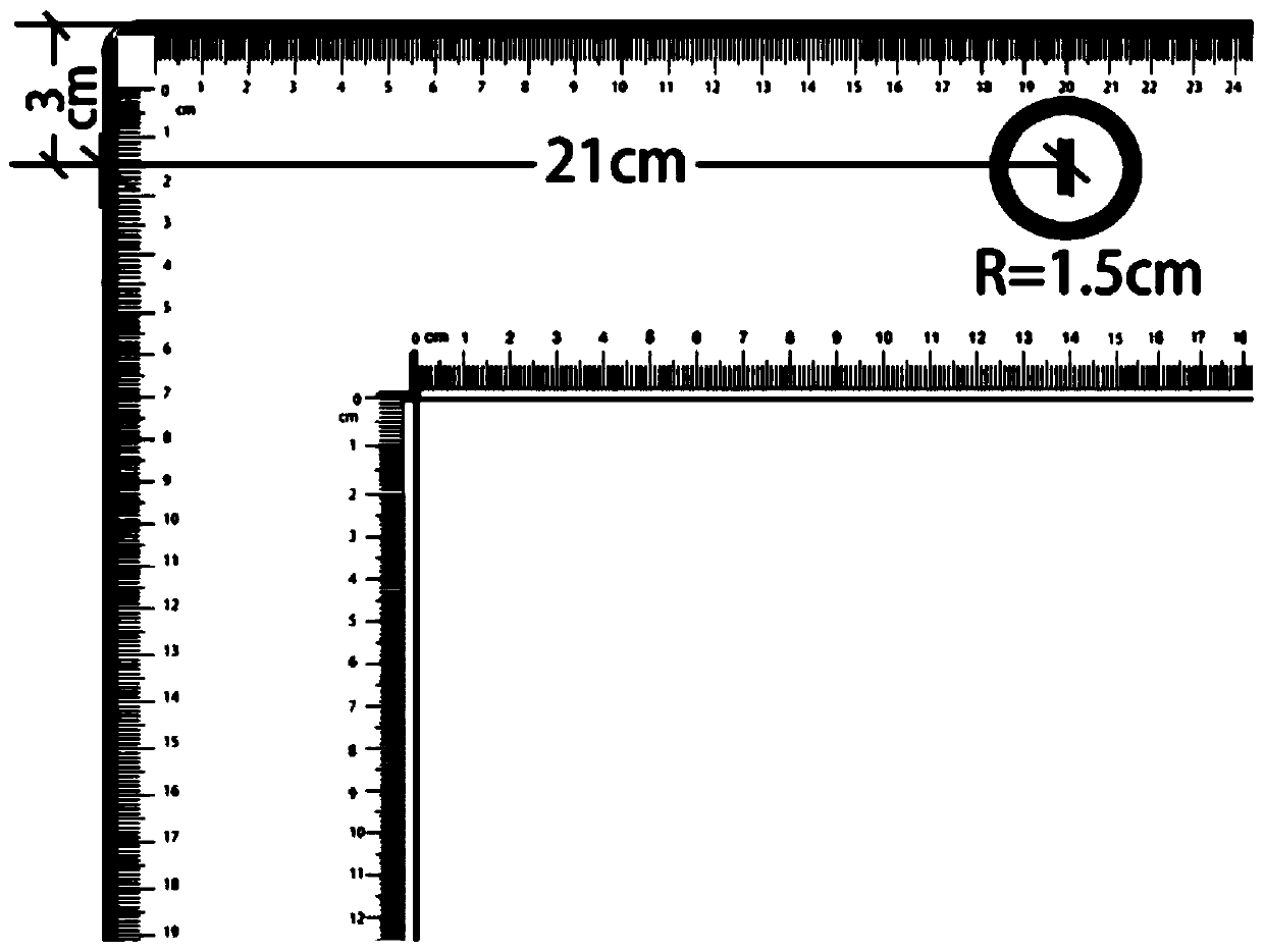 Manufacturing method of plant specimen shooting background plate