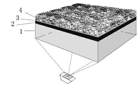 Cytomegalovirus antibody aptamer specific to cytomegalovirus, and biochip formed by same