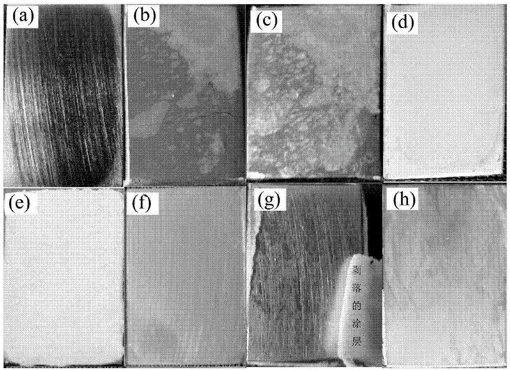 A kind of surface protective coating for thermal processing of titanium alloy and its application