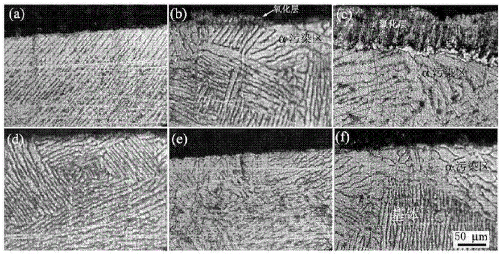 A kind of surface protective coating for thermal processing of titanium alloy and its application