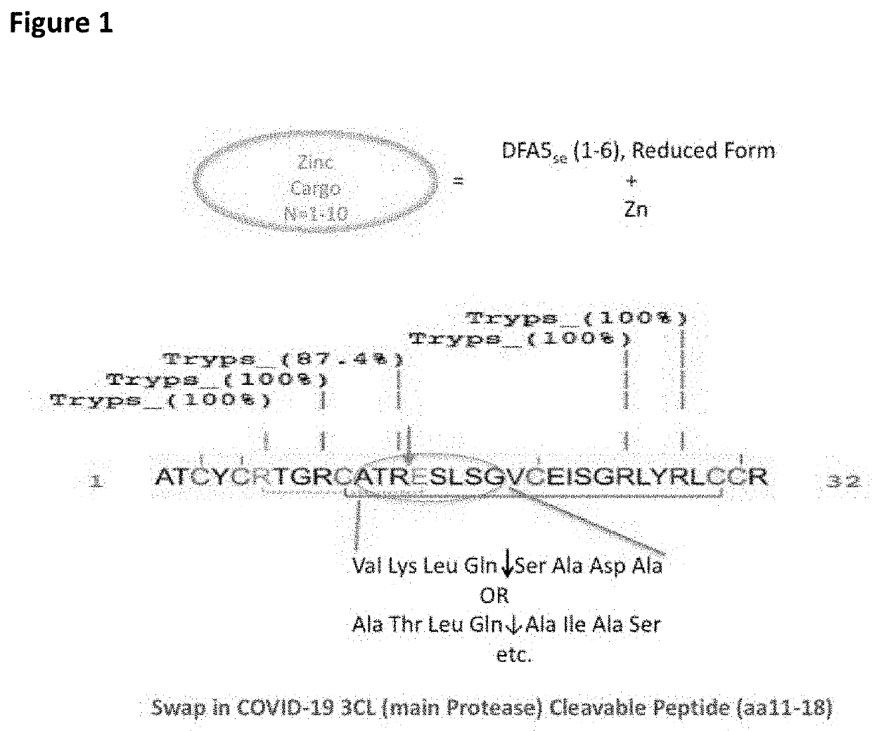 Zinc Porters, and their Monoclonal Antibody Conjugates, for the Prevention and Treatment of COVID-19 (SARS-CoV-2), Other Infections, and Cancers