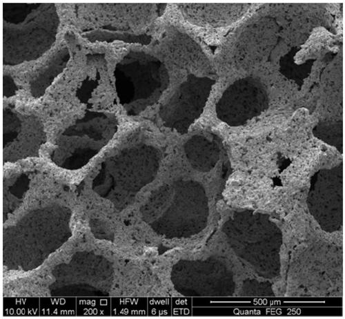 Porous niobium-tantalum-titanium alloy material with controllable pores and preparation method thereof