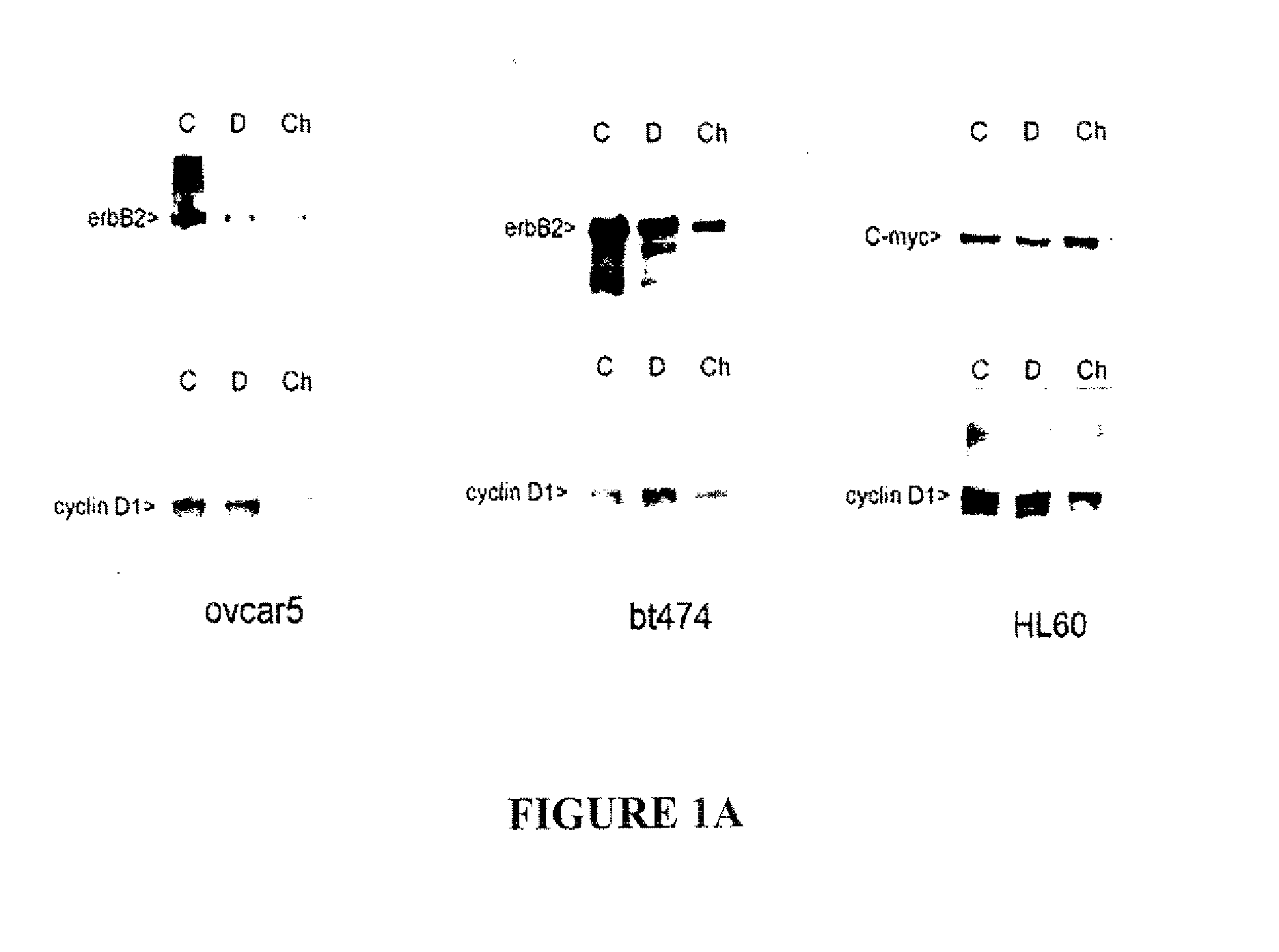 Compositions comprising genome segments and methods of using the same