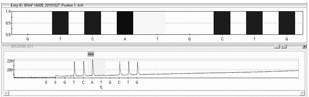 Kit for detecting B-raf gene polymorphism by pyro-sequencing method and method