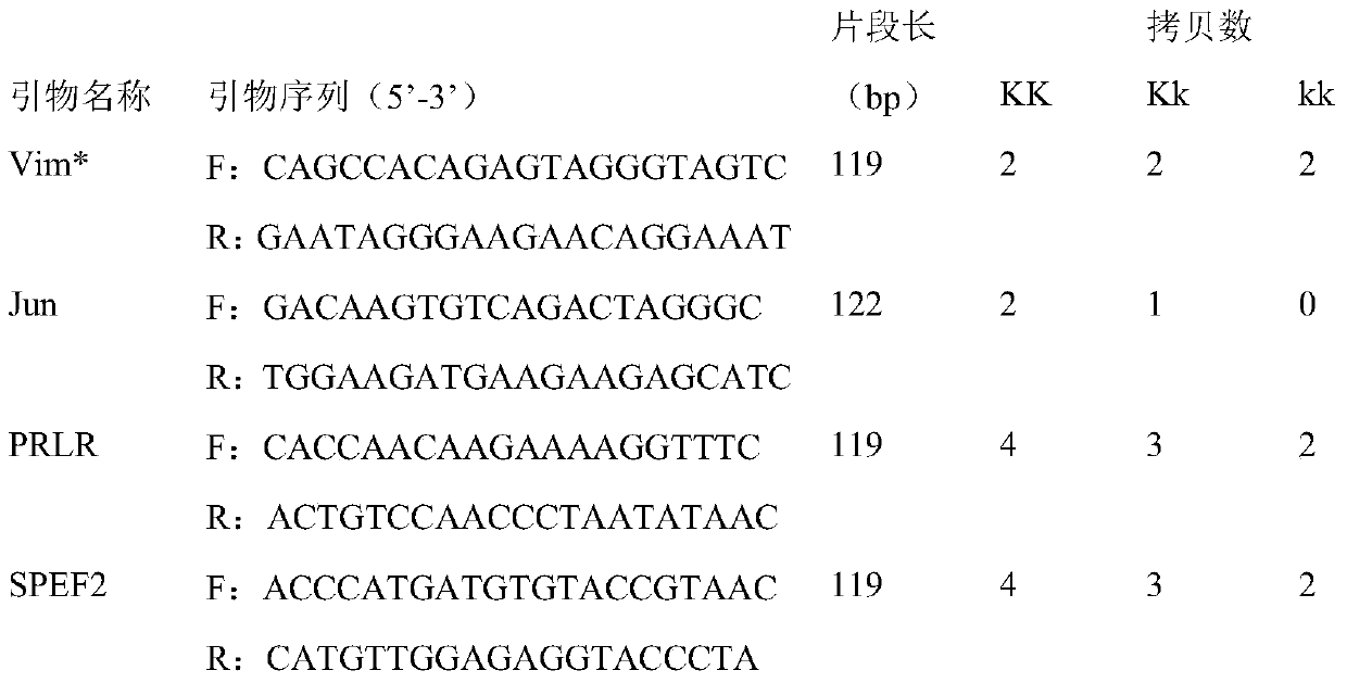 A method and application for quickly establishing the slow feather line of Beijing oil chicken