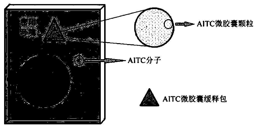 Preparation method and application of allyl isothiocyanate microcapsule slow-release bag