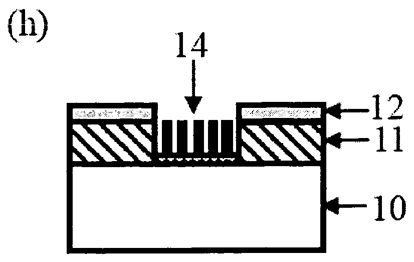 Gate controlled field emission triode and process for fabricating the same