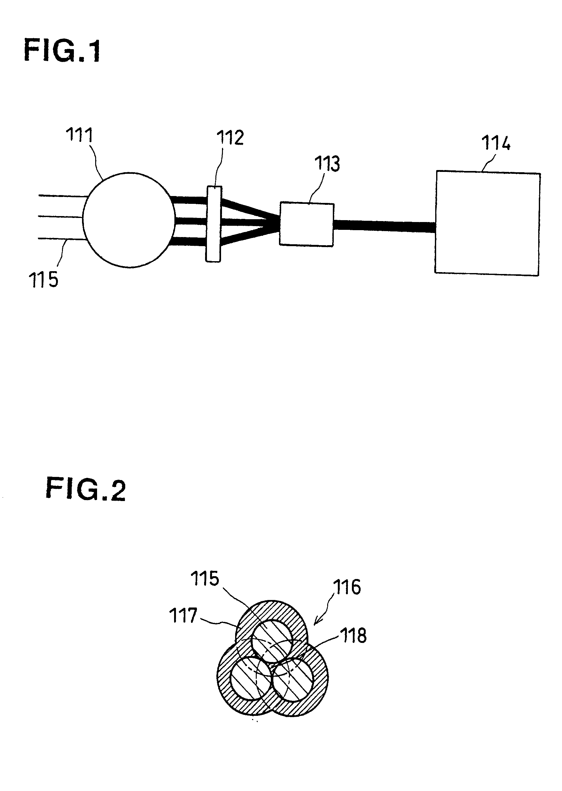 Elastomer and steel cord composite and process for producing the same