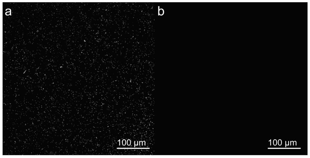 A tooth desensitizer for deep sealing of dental tubules and prevention of biofilm formation