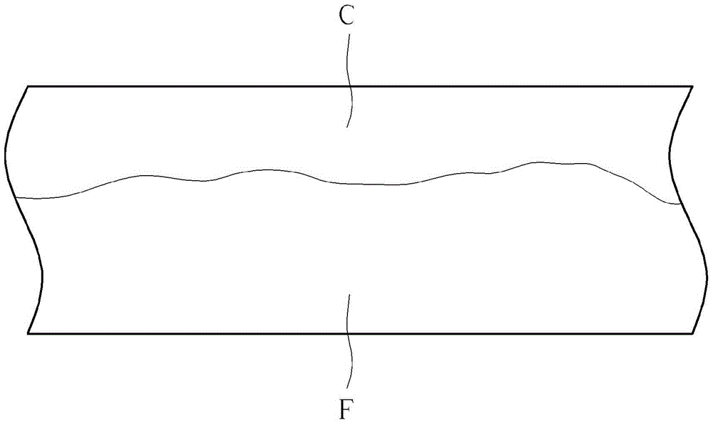 Film coating device and film coating method