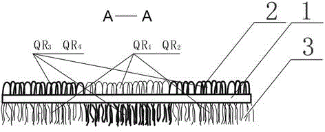 Two-color jacquard fabric with looped piles on one side and velvet on other side and weaving method of two-color jacquard fabric