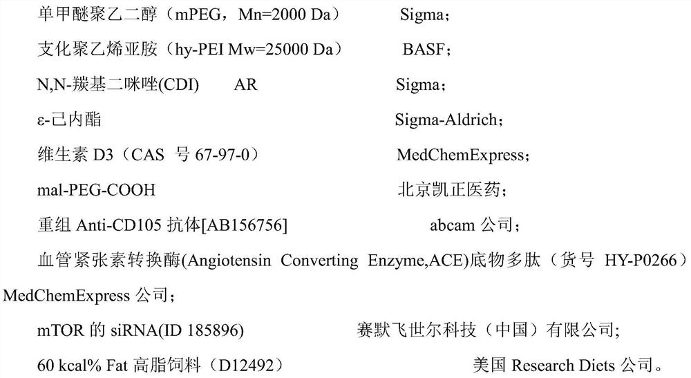 Cell surface marker antibody Fab segment modified small molecule drug/therapeutic gene delivery system, preparation method and application