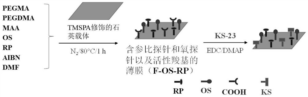 A kind of potassium ion probe and its preparation method and application